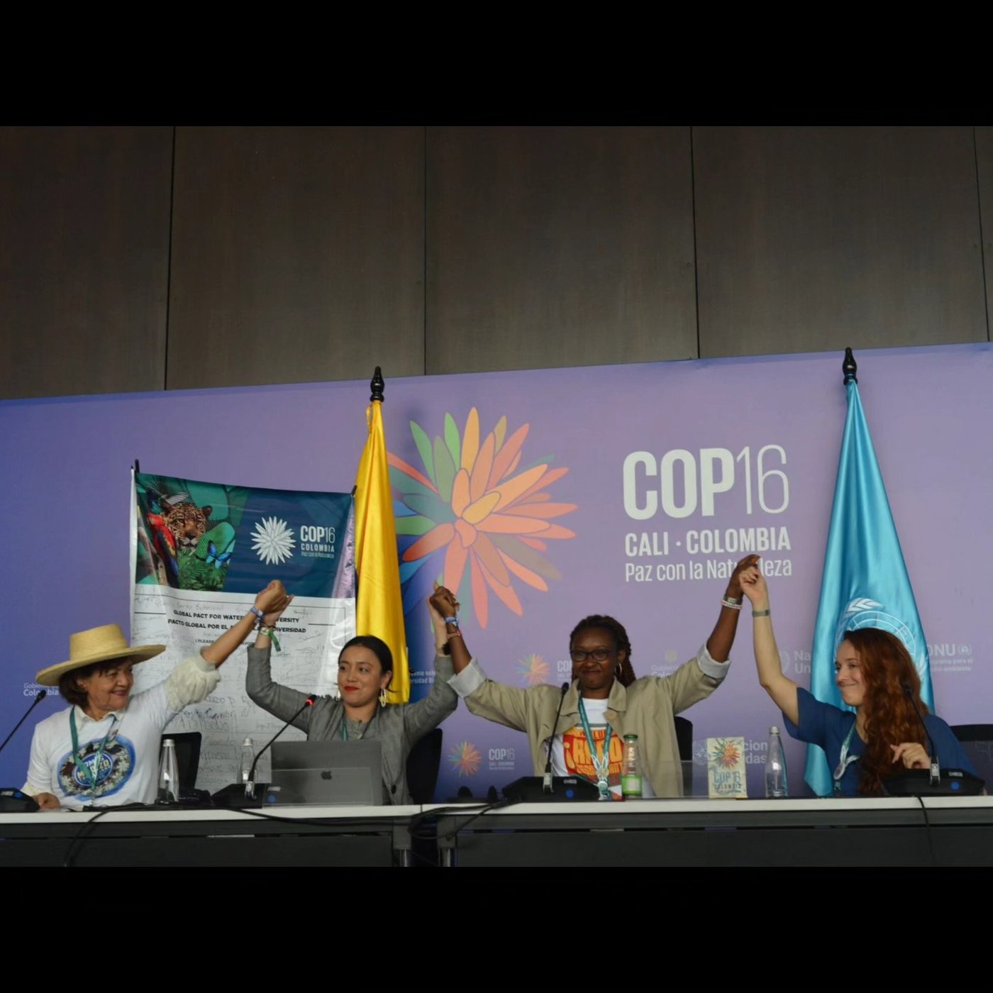 YCSA representatives raising joined hands at COP16 in Cali, Colombia