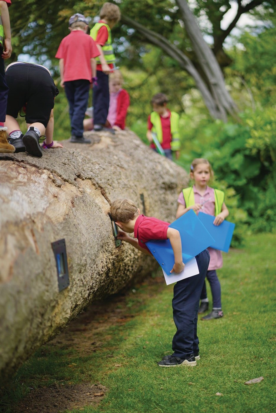 Outdoor installation at Forest of Imagination